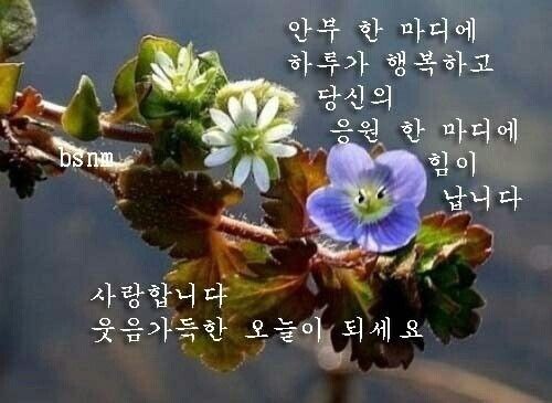 어은돌야영장 이미지