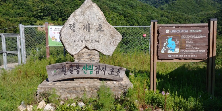 솔봉농원 이미지
