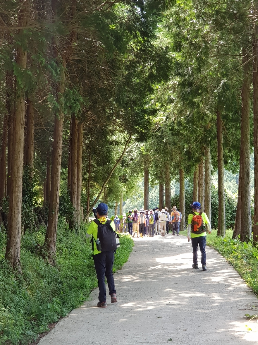 백제약품(주) 이미지