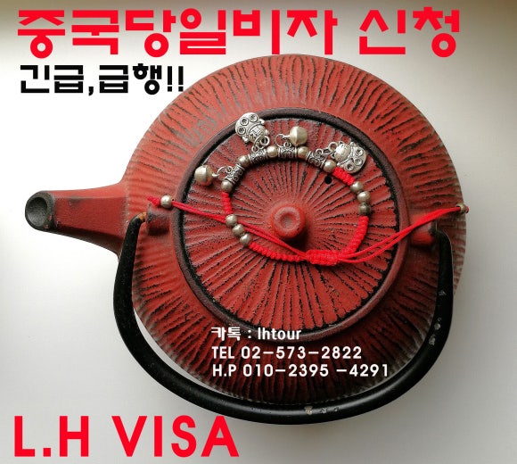 엘에이치 비자(L.H VISA) 이미지