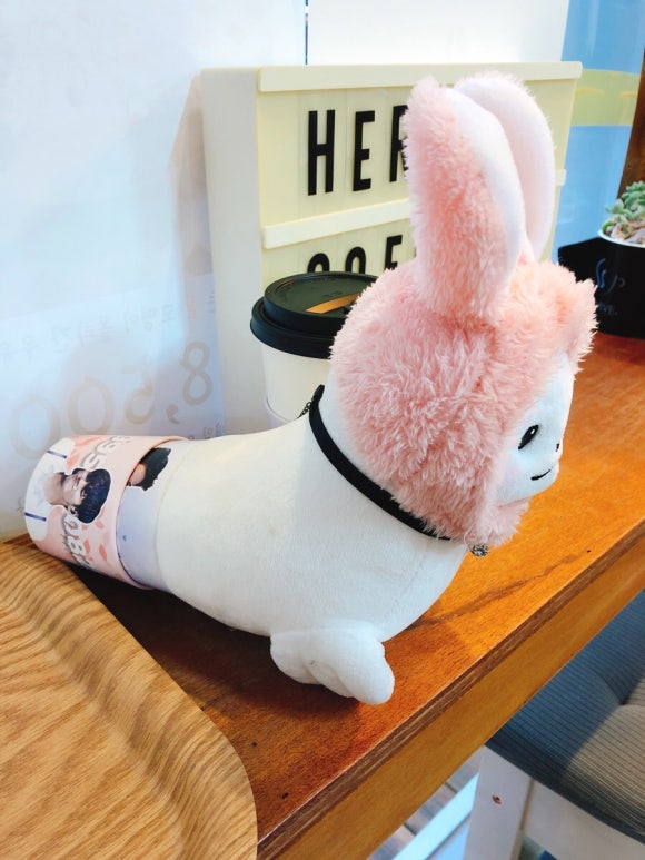 (주)블레스빈 이미지