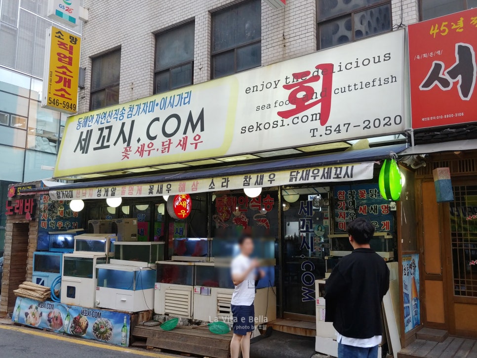 세꼬시닷컴 이미지