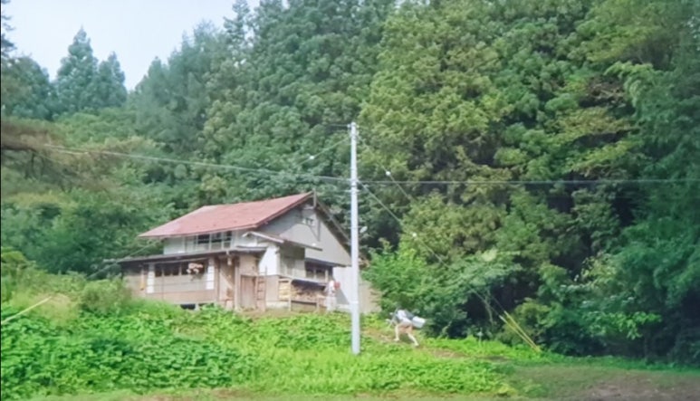 리틀포레스트 이미지
