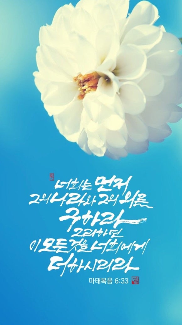 (주)나라**** 이미지