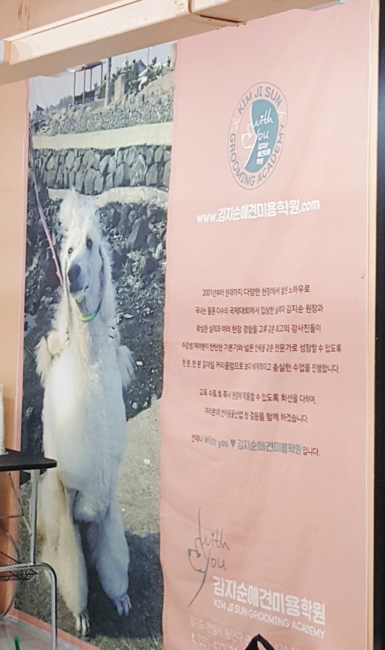 김지순애견미용학원 이미지