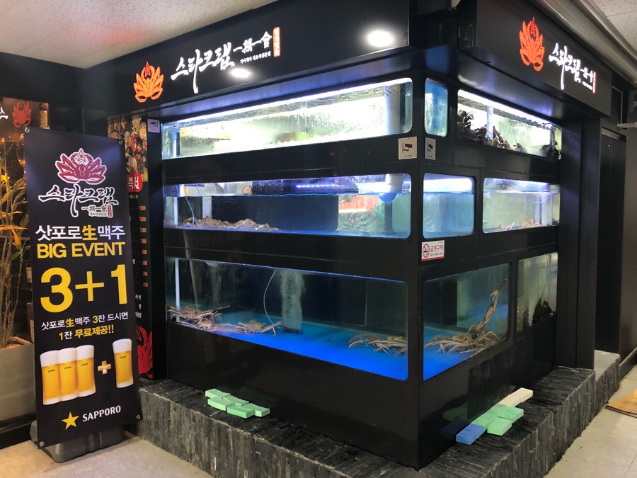 스타크랩 이미지