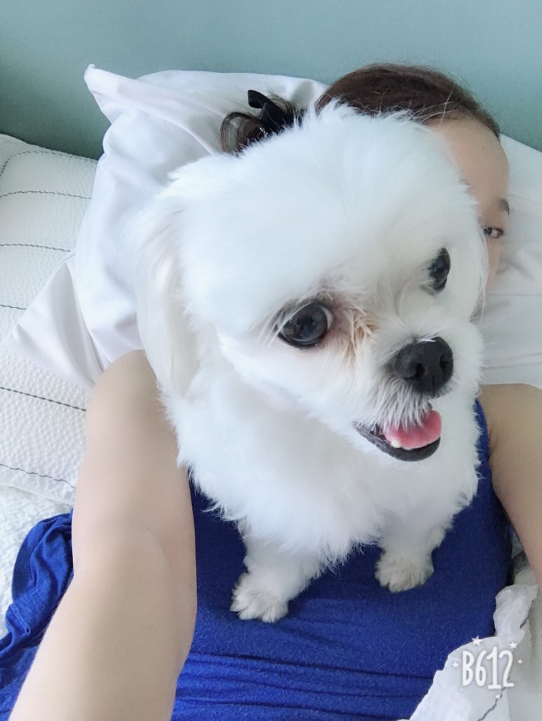 개똥이 이미지
