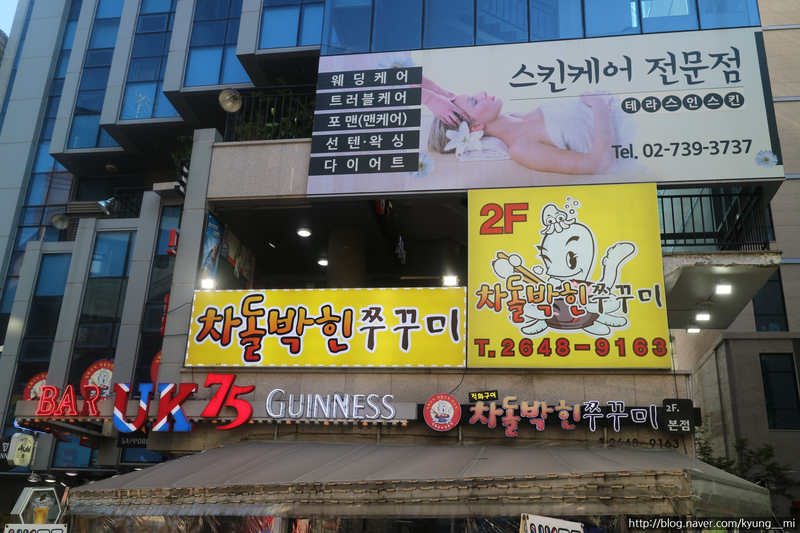 테라스 인 스킨 이미지