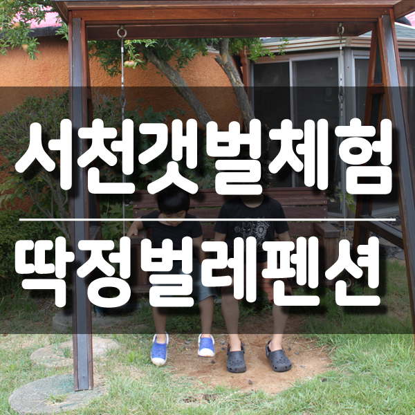 딱정벌레펜션 이미지