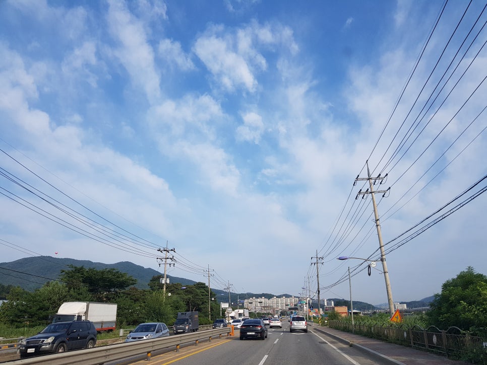 초월농업협동조합하나로마트 이미지