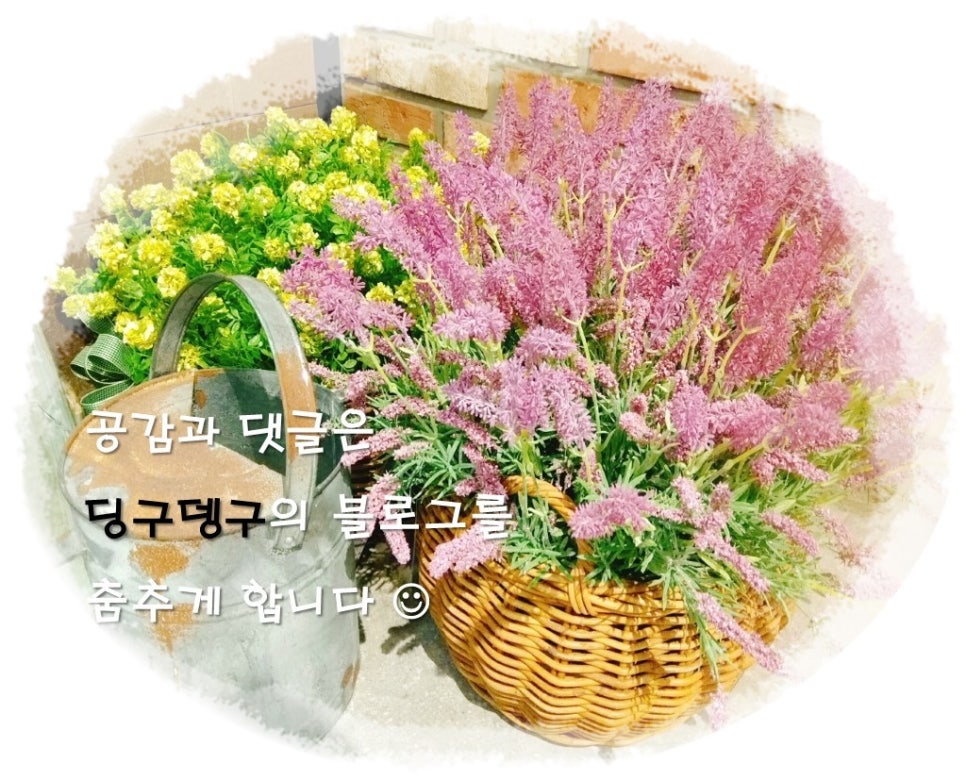 올레노래연습장 이미지