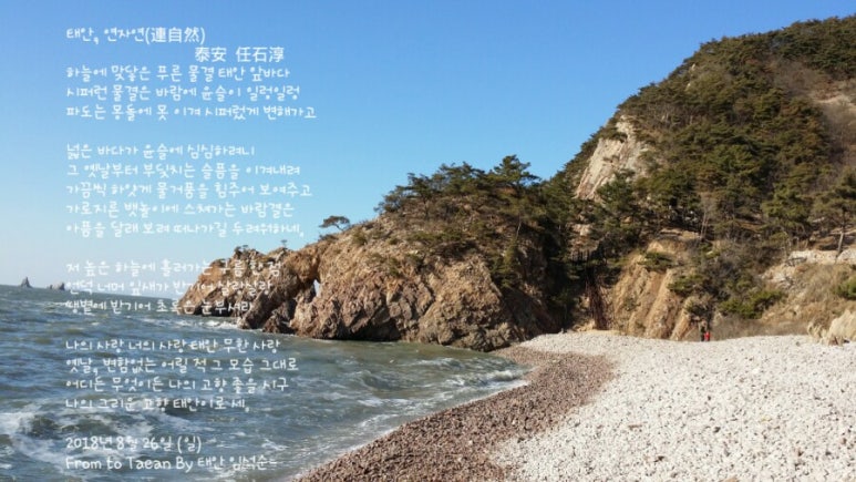연자연 이미지