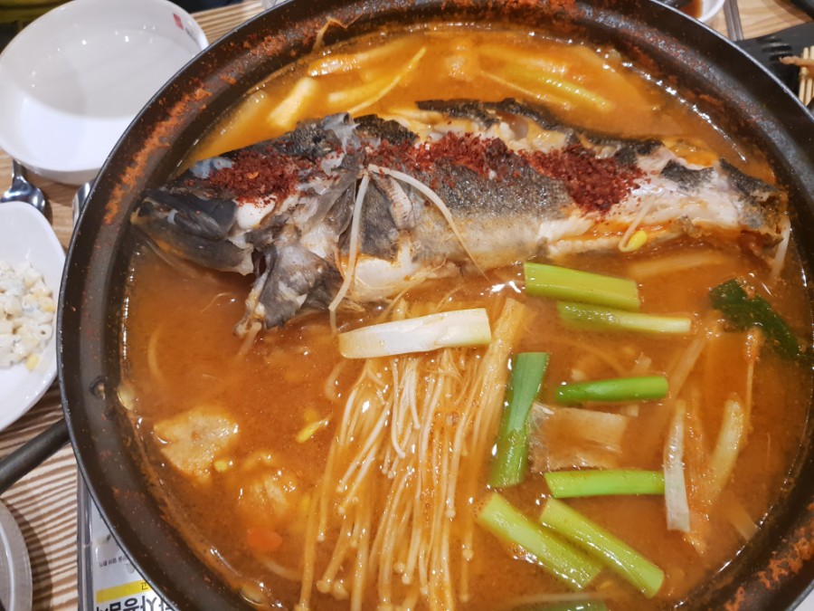 미스터오징어 이미지