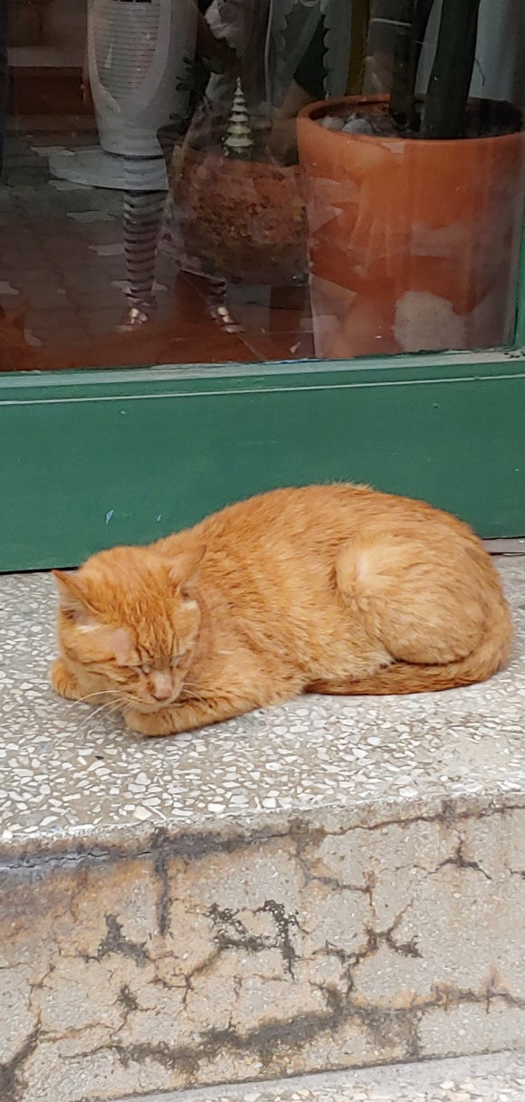 신라장어직판장 이미지
