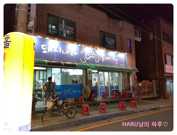 돼지나라갈매기꿈 이미지