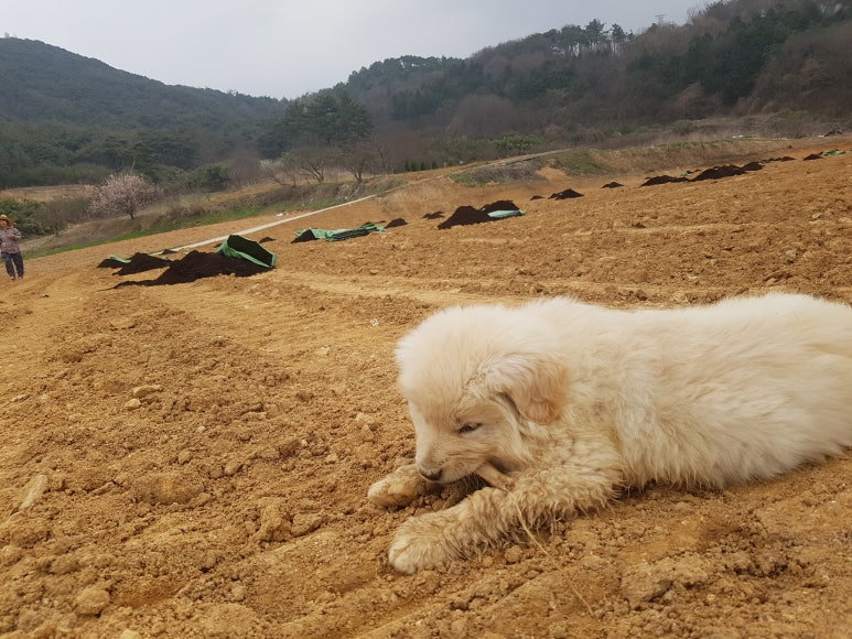 재호팜스토리 이미지