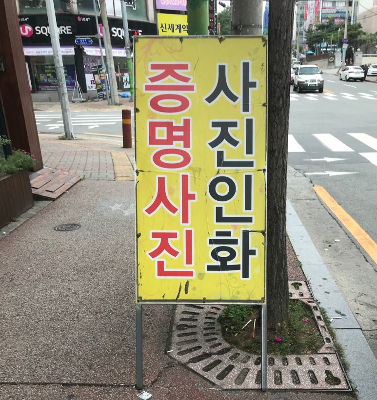 올리브트리스튜디오 이미지