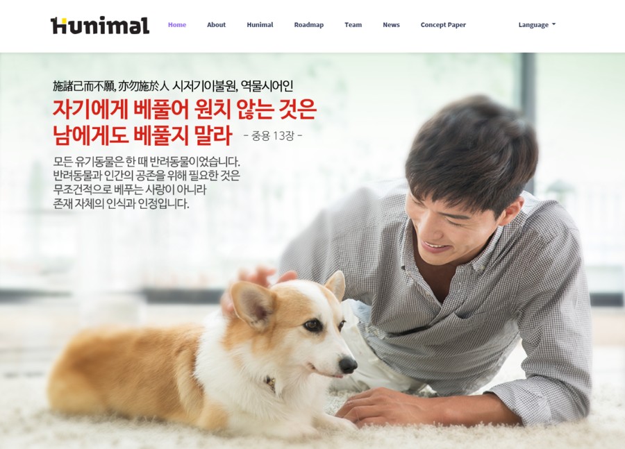 코인 이미지