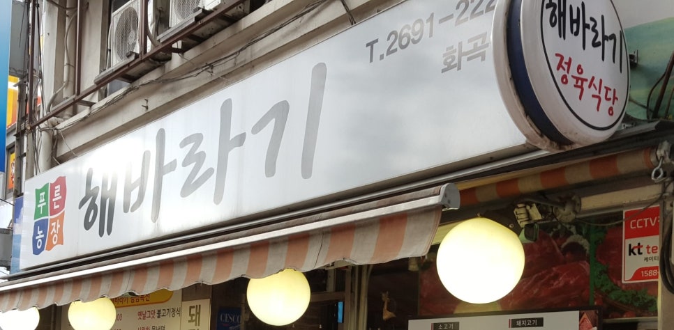 푸른농장해바라기 이미지