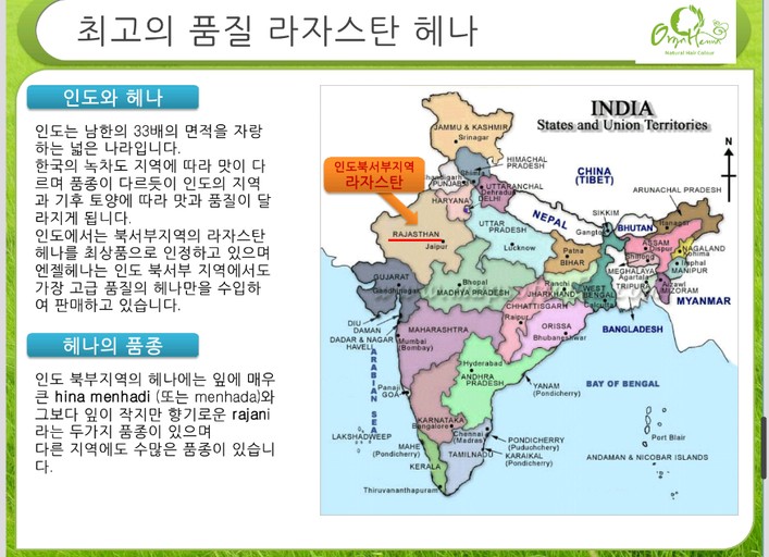 헤나킹 이미지