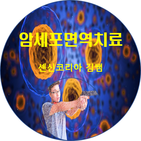센신 이미지