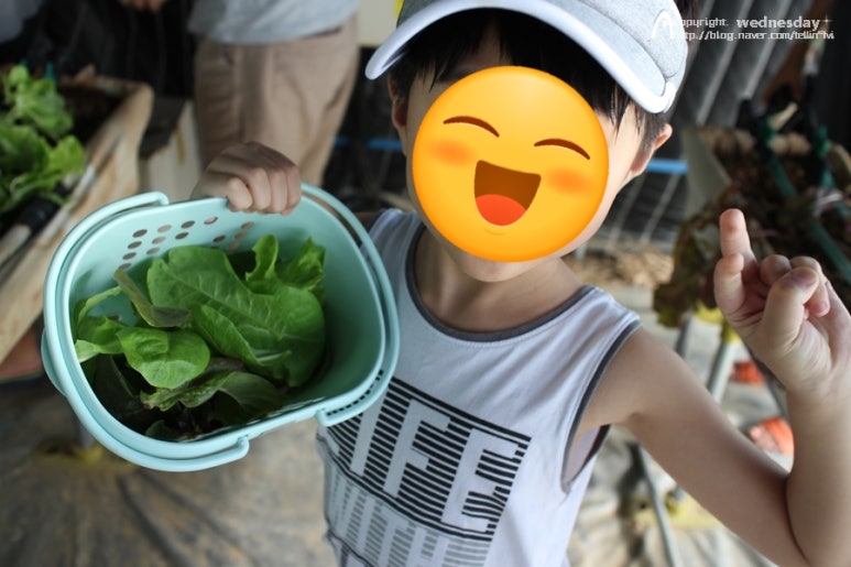 냉산친환경체험농장 이미지