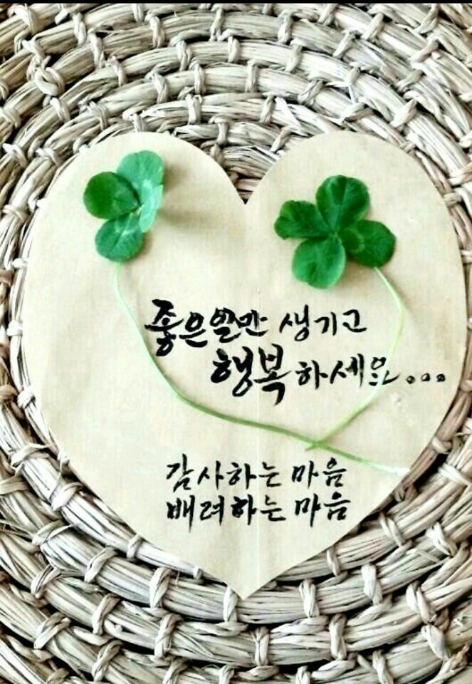 해달팥죽 이미지