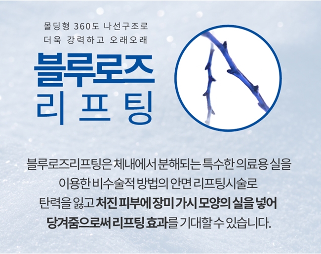 블루로즈 이미지