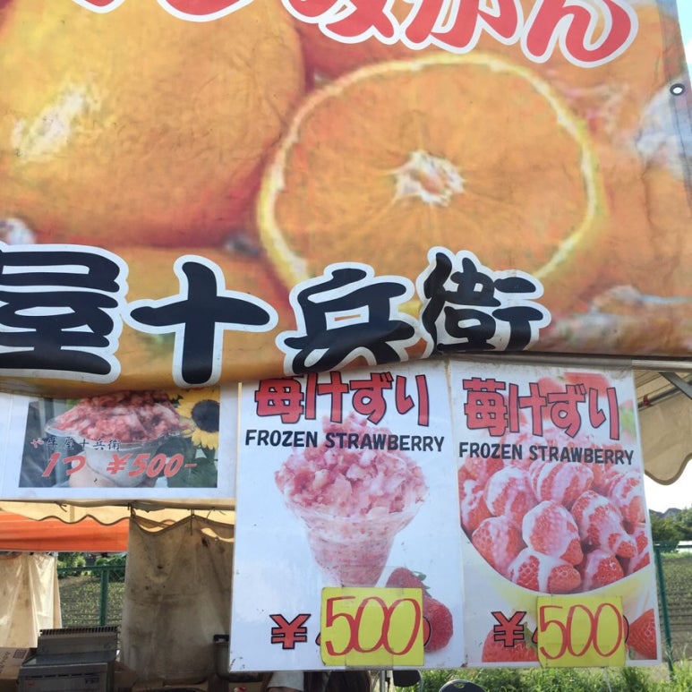 해바라기슈퍼 이미지