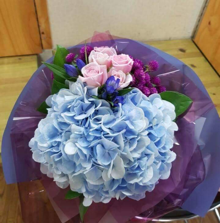 쁠랑드플뢰르 이미지