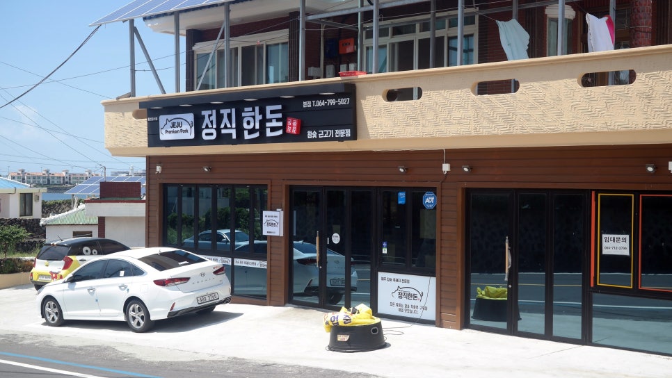 중독돼지 이미지