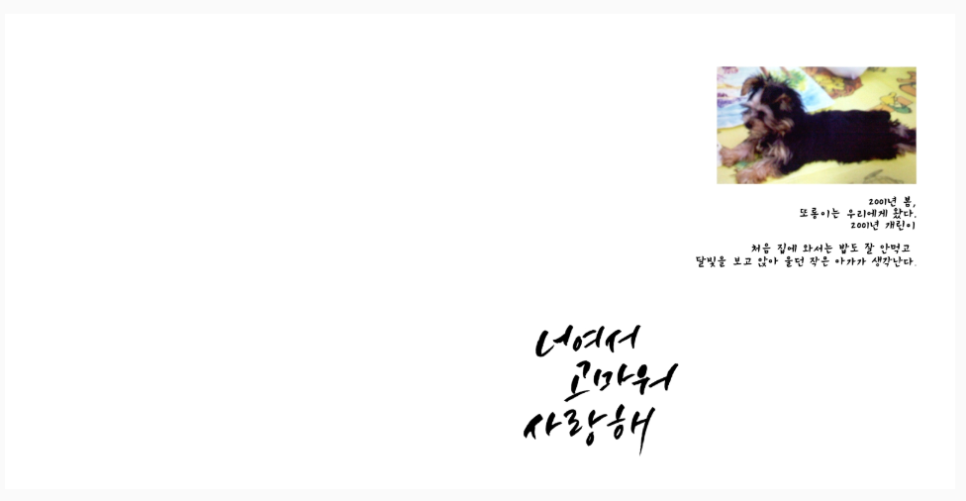 강*혜 이미지