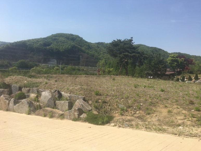 신천개발 이미지