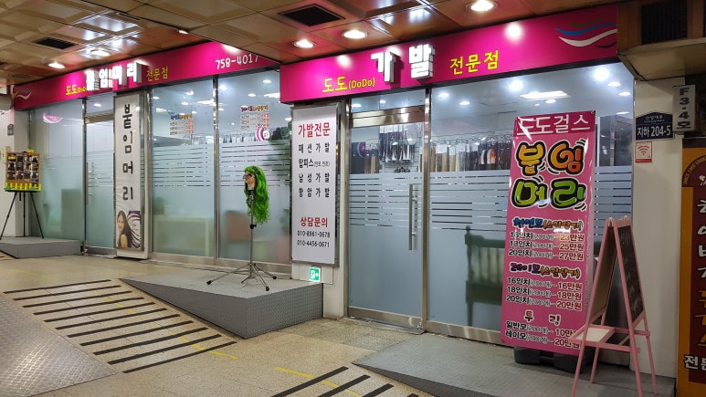 도도걸스 이미지
