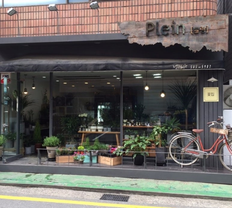 쁠랑드플뢰르 이미지