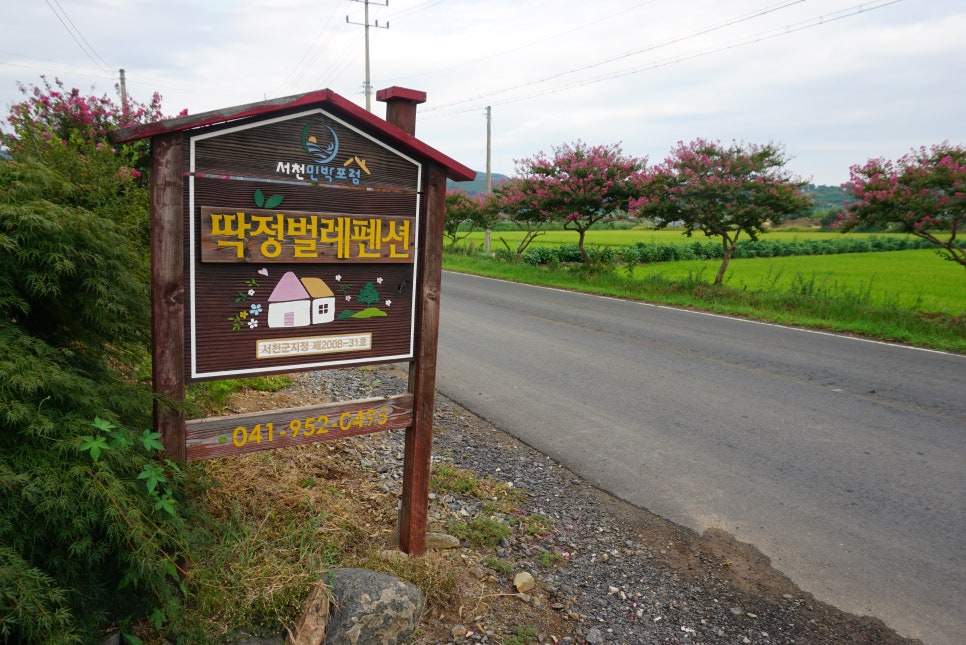 딱정벌레펜션 이미지