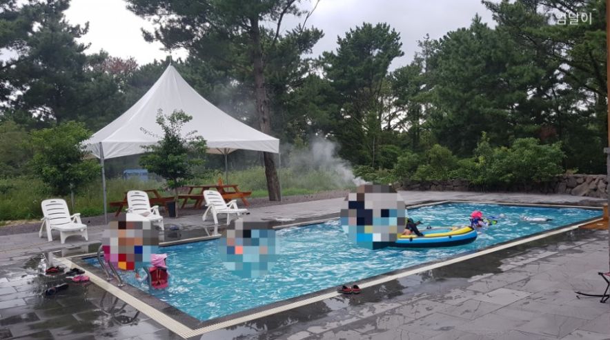 제주솔 이미지