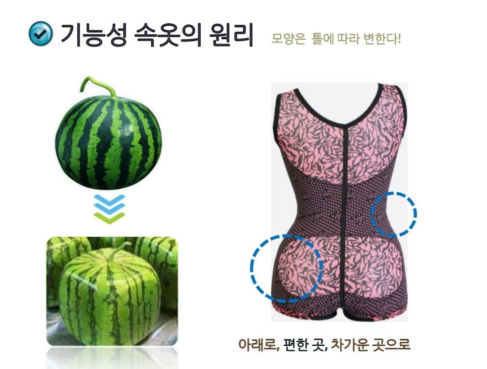 제니기능성속옷 이미지