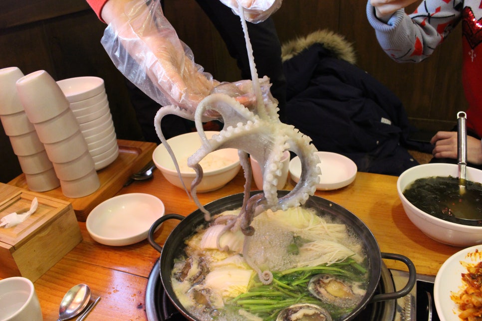 낙지세상 이미지