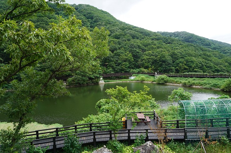 국립칠곡숲체원 이미지