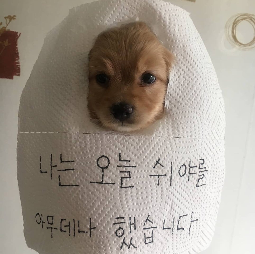 디저트연구소 이미지