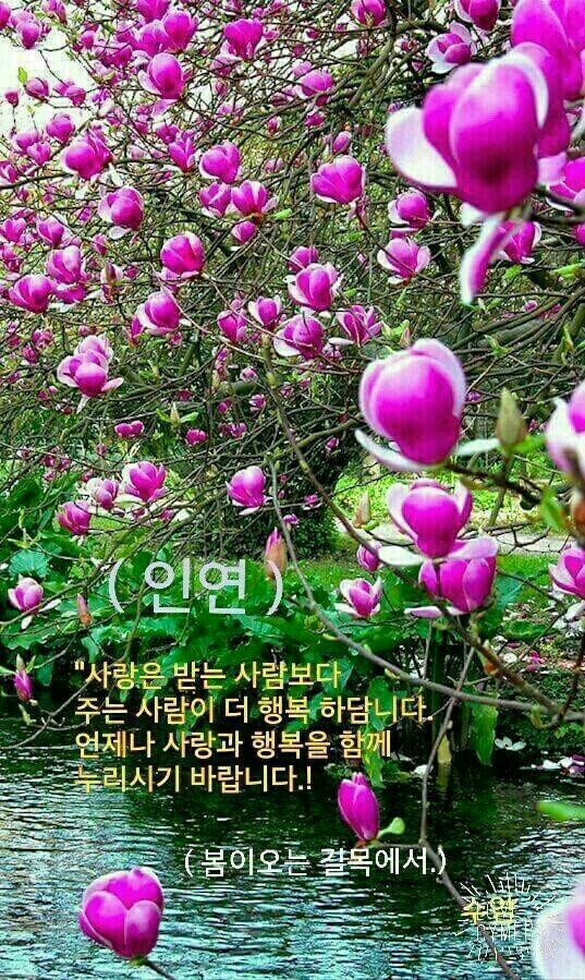 세기냉열 이미지