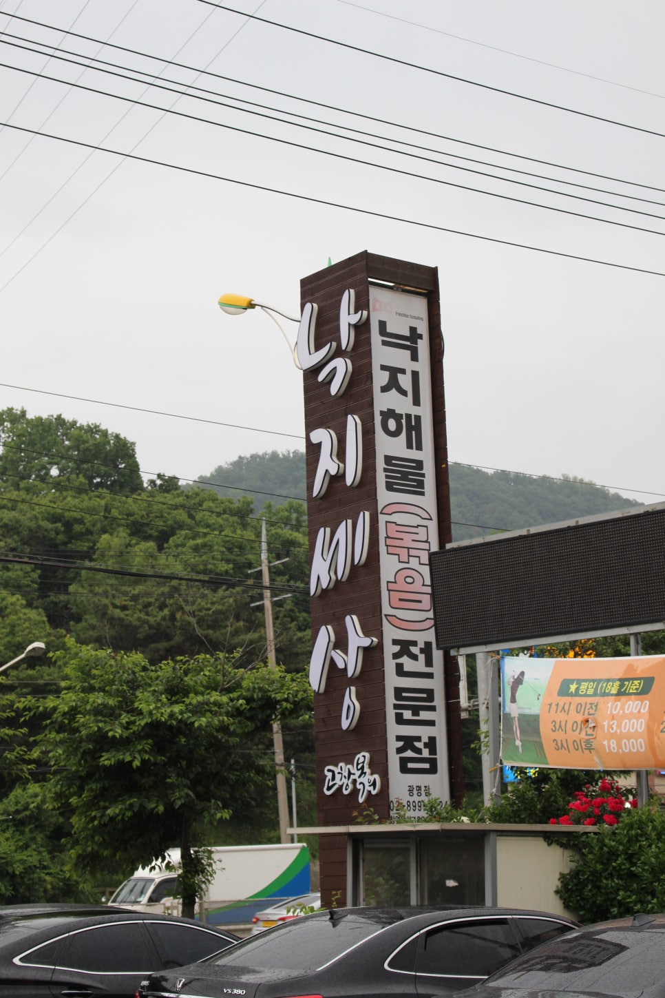 낙지세상 이미지