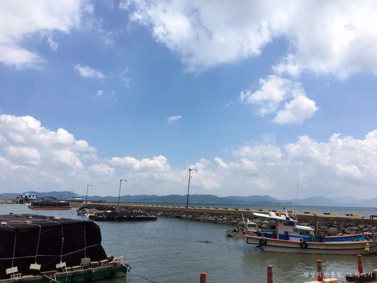 보성E.N.G 이미지