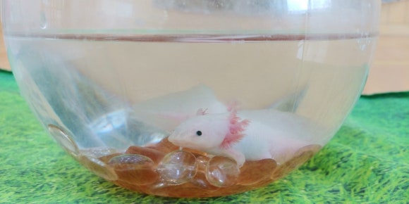 영인유치원 이미지