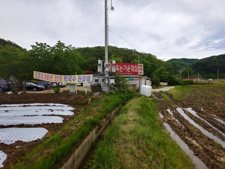 마옥막국수논가운데집 이미지