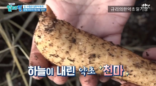 (주)천마푸드 이미지