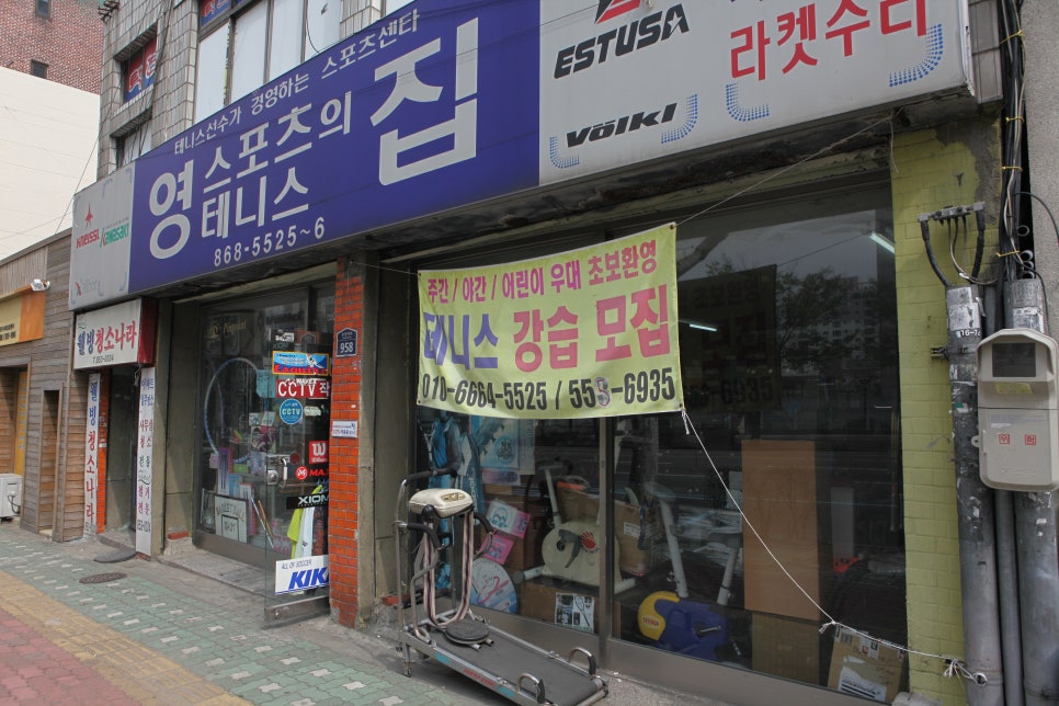 영스포츠 이미지