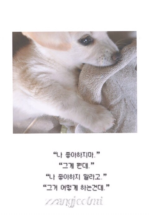 한량 이미지