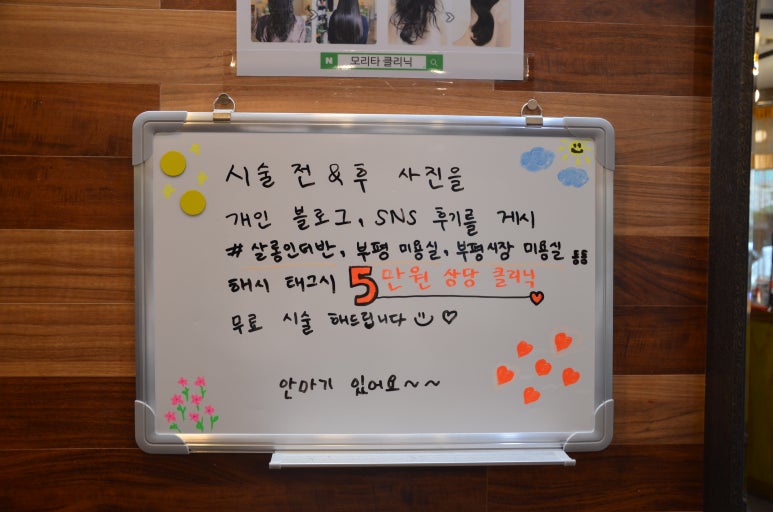 살롱인더반 이미지